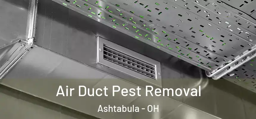 Air Duct Pest Removal Ashtabula - OH