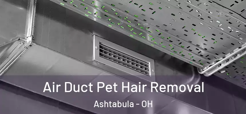 Air Duct Pet Hair Removal Ashtabula - OH
