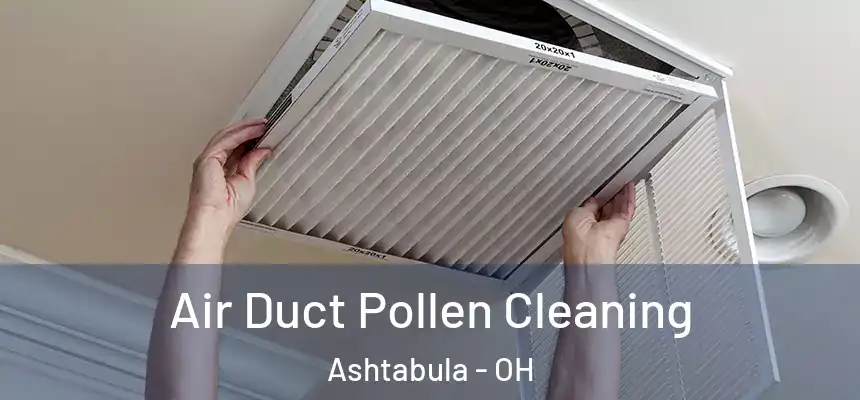 Air Duct Pollen Cleaning Ashtabula - OH