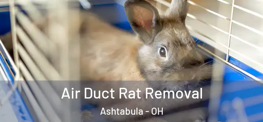 Air Duct Rat Removal Ashtabula - OH