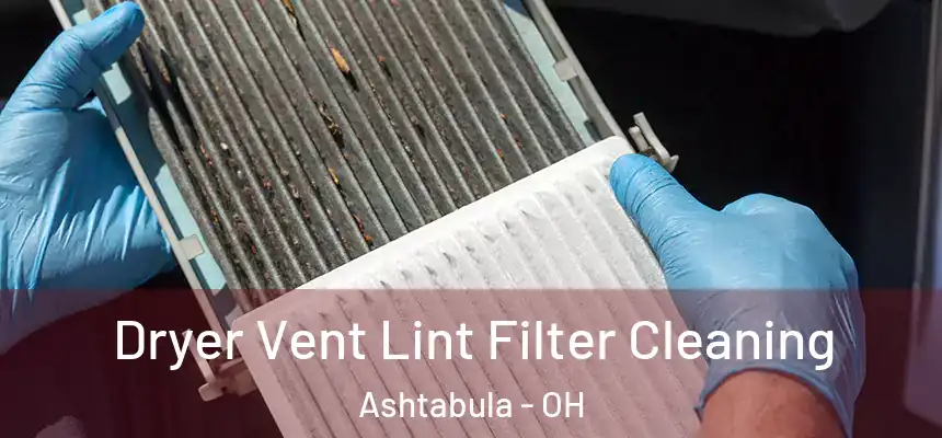  Dryer Vent Lint Filter Cleaning Ashtabula - OH