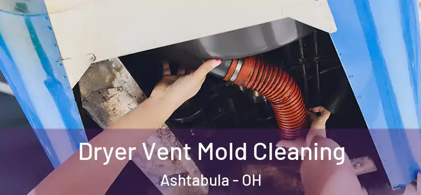  Dryer Vent Mold Cleaning Ashtabula - OH