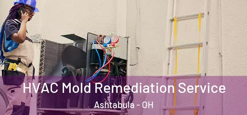 HVAC Mold Remediation Service Ashtabula - OH