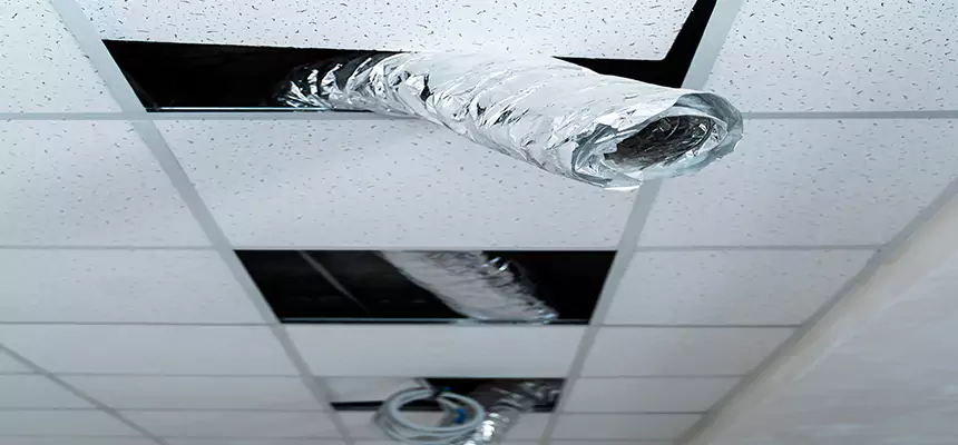 Our Air Duct Pet Hair Removal Services in Ashtabula, OH