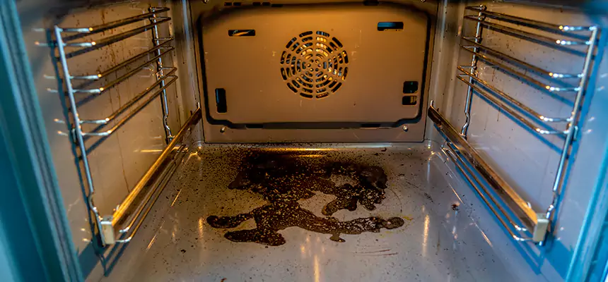 Our Dryer Vent Mold Cleaning Services in Ashtabula, OH