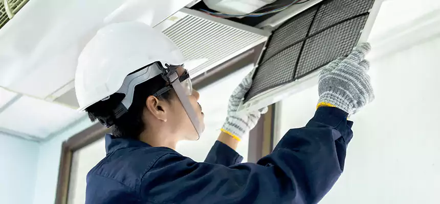 Our Mold & Mildew Removal from Air Ducts Services in Ashtabula, OH