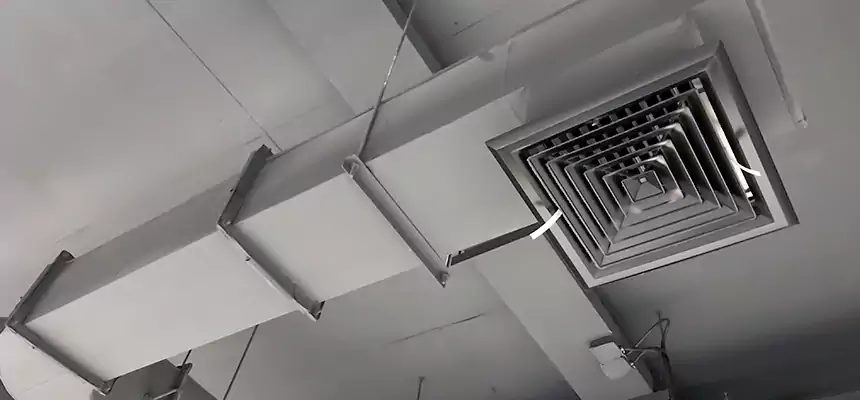 Our Pest Removal From Ducts Services in Ashtabula, OH