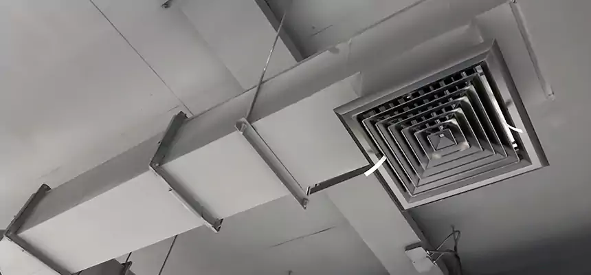 Our Rodent Droppings In Vents Services in Ashtabula, OH