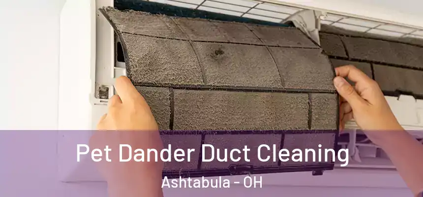 Pet Dander Duct Cleaning Ashtabula - OH