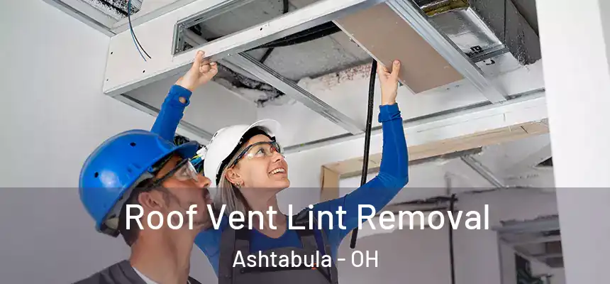 Roof Vent Lint Removal Ashtabula - OH