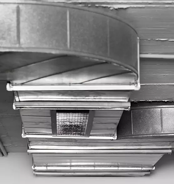 Professional Air Duct Pest Removal in Ashtabula, OH