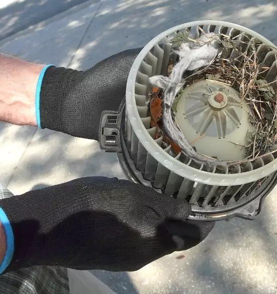 About Air Duct Rat Removal in Ashtabula, OH