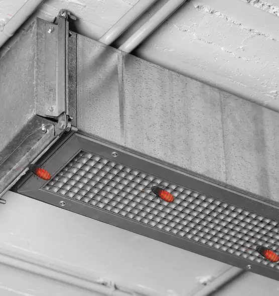 Affordable Insect Removal from Air Ducts in Ashtabula, OH