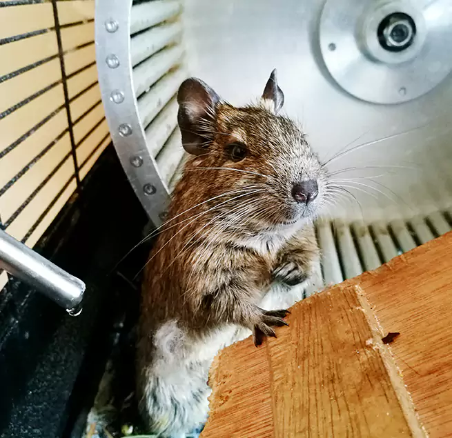 Why Homeowners & Businesses Trust Us Ashtabula, OH